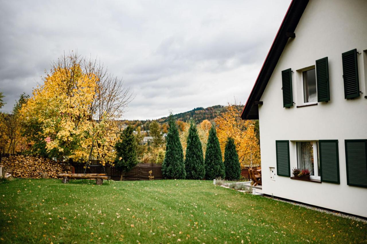 Ogród przy Domu Panorama z widokiem na góry